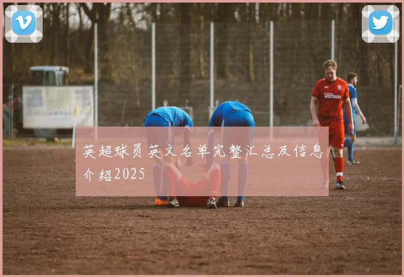 英超球员英文名单完整汇总及信息介绍2025